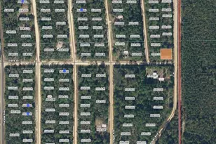 Diane St, Interlachen, FL 32148 - Photo 1