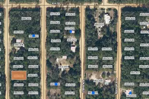 Lot 8 Del Monaco Ave, Interlachen, FL 32148 - Photo 1