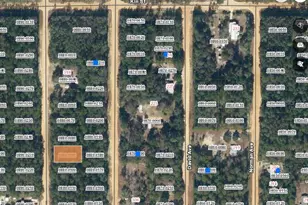 Lot 9 Del Monaco Ave, Interlachen, FL 32148 - Photo 1