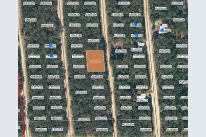 00 Neilsen Avenue, Interlachen, FL 32148 - Photo 1