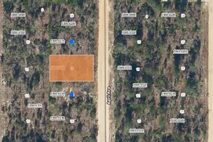 00 April Ave, Interlachen, FL 32148 - Photo 1