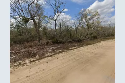 00 April Avenue, Interlachen, FL 32148 - Photo 5