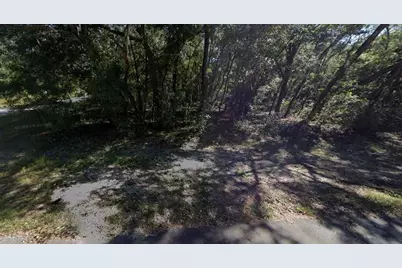 00 Annette Avenue, Interlachen, FL 32148 - Photo 3