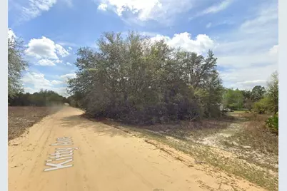 821 Kitty Avenue, Interlachen, FL 32148 - Photo 5