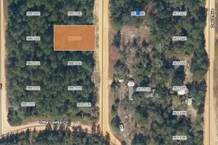 Lot 17 Theresa Ave, Interlachen, FL 32148 - Photo 1