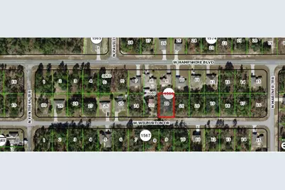 3449 W Wilburton Drive, Dunnellon, FL 34433 - Photo 1