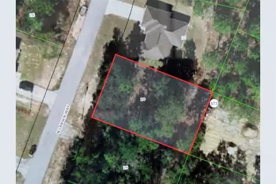 8949 N Lansen Way, Citrus Springs, FL 34433 - Photo 5