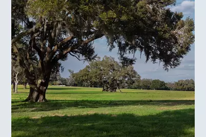 12894 NW Gainesville Road, Reddick, FL 32686 - Photo 5