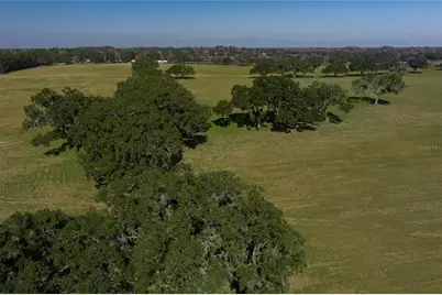 12894 NW Gainesville Road, Reddick, FL 32686 - Photo 7