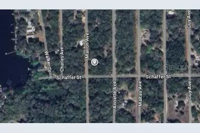 Marion Avenue, Interlachen, FL 32148 - Photo 3