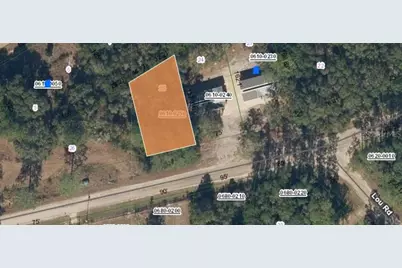 00 Peebles Road, Interlachen, FL 32148 - Photo 1