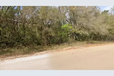 Annette Avenue, Interlachen, FL 32148 - Photo 3