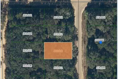 Annette Avenue, Interlachen, FL 32148 - Photo 1