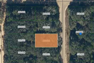 Annette Ave, Interlachen, FL 32148 - Photo 1