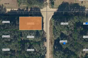 Annette Ave, Interlachen, FL 32148 - Photo 1