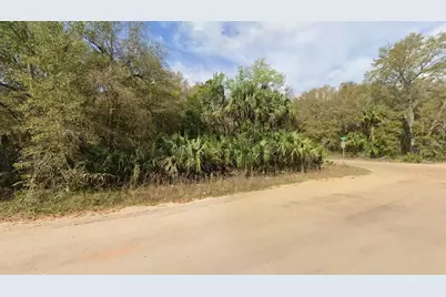 Annette Avenue, Interlachen, FL 32148 - Photo 5