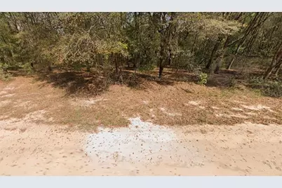 Annette Avenue, Interlachen, FL 32148 - Photo 3