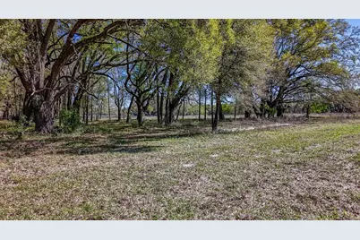 Ne 160th Avenue, Williston, FL 32696 - Photo 19