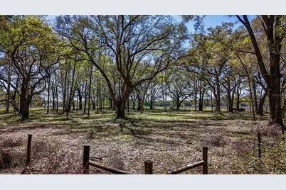 Ne 160th Avenue, Williston, FL 32696 - Photo 27