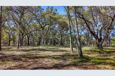 Ne 160th Avenue, Williston, FL 32696 - Photo 35