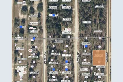 00 Guy Avenue, Interlachen, FL 32148 - Photo 1