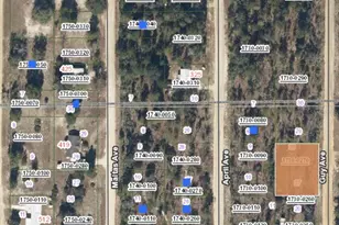 00 Guy Ave, Interlachen, FL 32148 - Photo 1