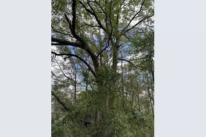 00 SW 193 Circle, Dunnellon, FL 34432 - Photo 1