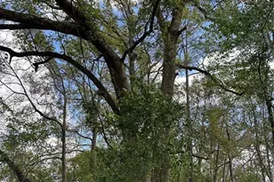 00 SW 193 Circle, Dunnellon, FL 34432 - Photo 1