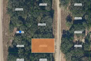 Guy Ave, Interlachen, FL 32148 - Photo 1