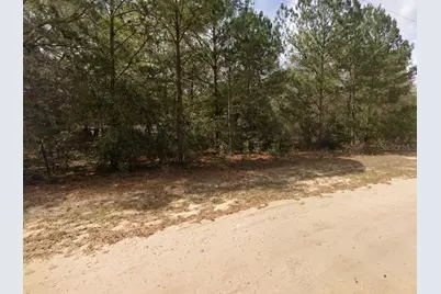 Lenore Avenue, Interlachen, FL 32148 - Photo 5