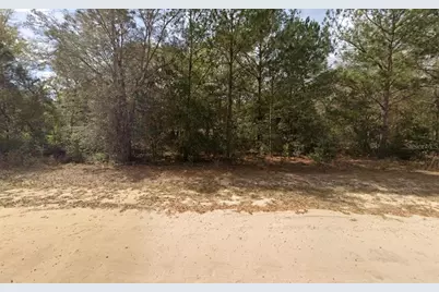 Lenore Avenue, Interlachen, FL 32148 - Photo 3