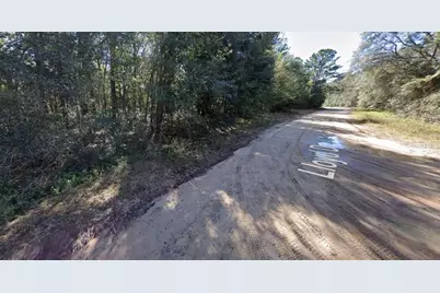 Lloyd Drive, Interlachen, FL 32148 - Photo 5