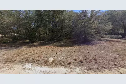 00 Denise Street, Interlachen, FL 32148 - Photo 5