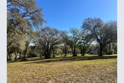 000 SE 118th Lane, Belleview, FL 34420 - Photo 7