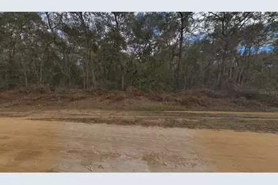 00 Walker Drive, Interlachen, FL 32148 - Photo 3