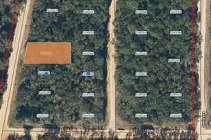 00 Walker Dr, Interlachen, FL 32148 - Photo 1