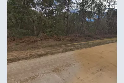 00 Walker Drive, Interlachen, FL 32148 - Photo 5