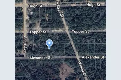 00 Alexander Street, Interlachen, FL 32148 - Photo 1
