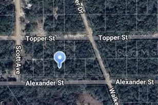 00 Alexander St, Interlachen, FL 32148 - Photo 1
