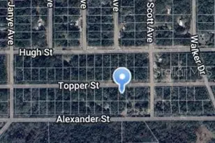 00 Topper St, Interlachen, FL 32148 - Photo 1