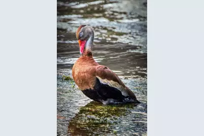 657 Midway Drive #A, Ocala, FL 34472 - Photo 65