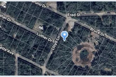 Lloyd Drive, Interlachen, FL 32148 - Photo 1