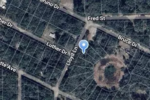 Lloyd Dr, Interlachen, FL 32148 - Photo 1