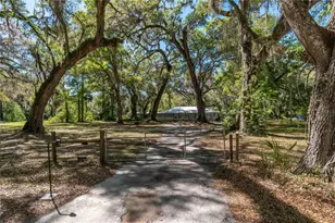 14100 NE 40th Ct, Anthony, FL 32617 - Photo 31