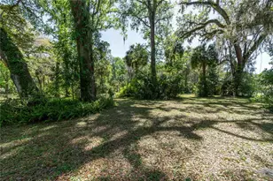 14100 NE 40th Ct, Anthony, FL 32617 - Photo 13