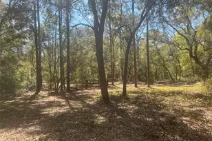 11372 E Hwy 25, Ocklawaha, FL 32179 - Photo 7