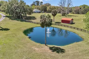 7000 NW Hwy 320, Micanopy, FL 32667 - Photo 31