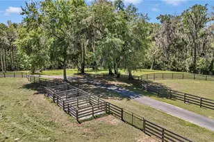7000 NW Hwy 320, Micanopy, FL 32667 - Photo 87