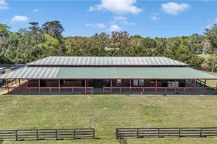 7000 NW Hwy 320, Micanopy, FL 32667 - Photo 93