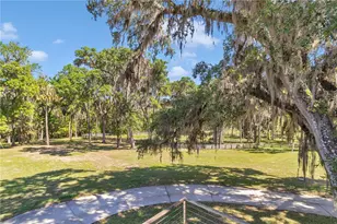 7000 NW Hwy 320, Micanopy, FL 32667 - Photo 7